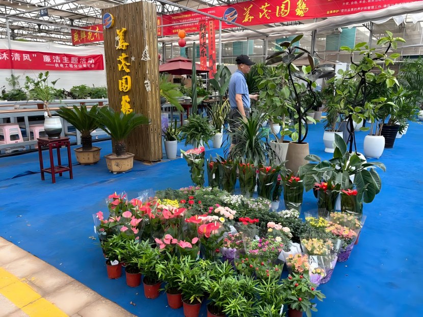 益豐6