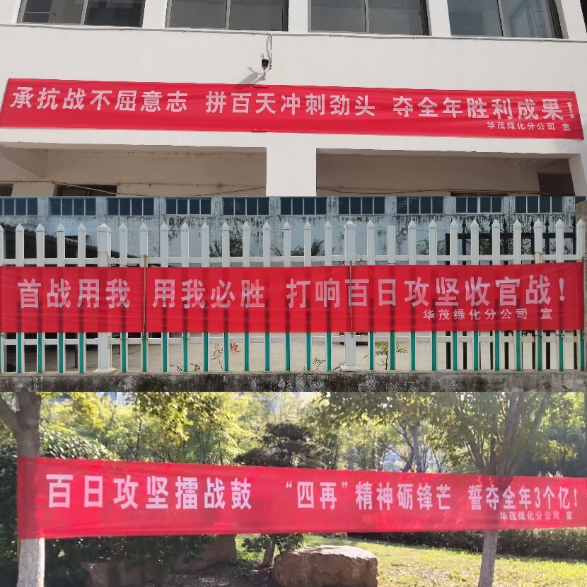 上網2